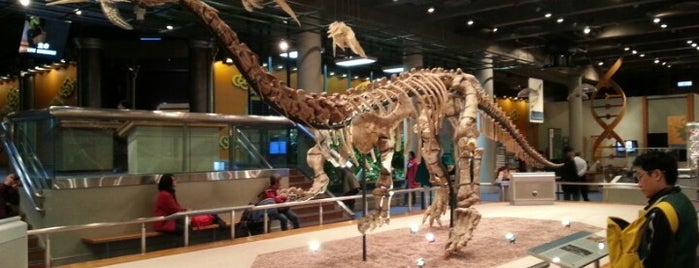 Hong Kong Science Museum is one of Museums in Hong Kong.