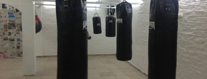 Pillo's Boxing Club is one of Trainning.