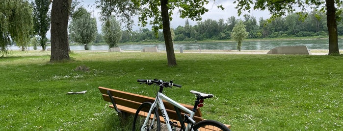 Strandbad Mannheim Neckarau is one of Ausflugsziele Rhein Neckar.