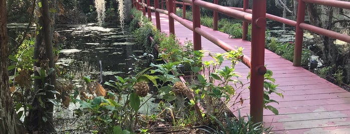 Magnolia Plantation Conservatory is one of Beth'in Beğendiği Mekanlar.