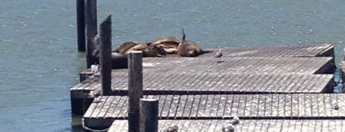 Sea Lions is one of Orte, die Beth gefallen.