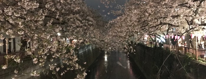 Meguro River is one of Things to do - Tokyo & Vicinity, Japan.