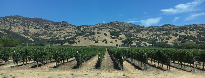 LostCanyonWinery is one of Wine Tasting.