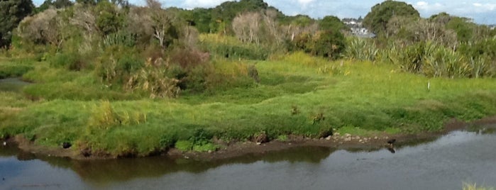 Tahuna Torea Reserve is one of Auckland's 10 most secret places.