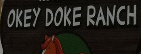 Okey Doke Ranch is one of horseback riding.