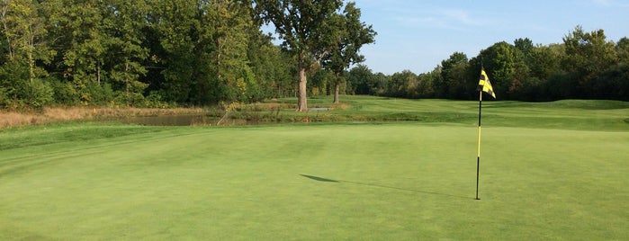 Pheasant Run Golf Club is one of Orte, die Ryan gefallen.