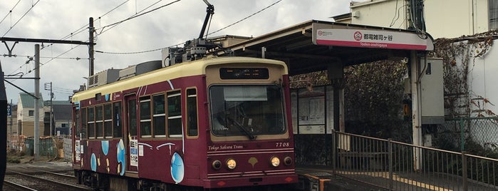 Toden-zoshigaya Station is one of Tokyo Sakura Tram (Toden Arakawa line).