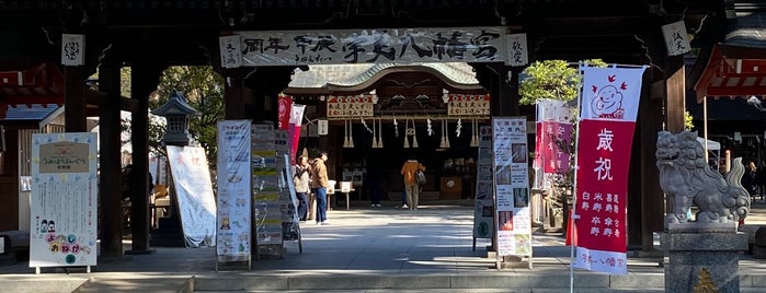 Umi Hachimangu Shrine is one of 別表神社二.