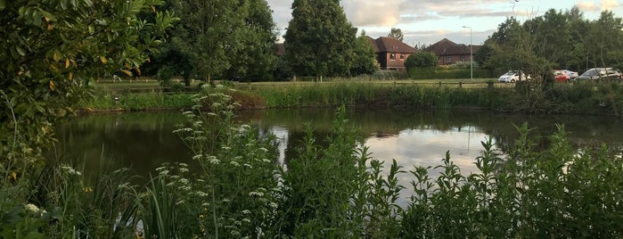 Moreton Hall is one of Bars and Pubs of Bury St Edmunds.