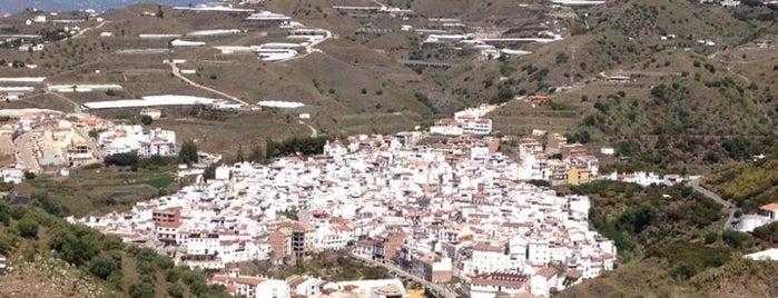 Algarrobo is one of Los 101 municipios de la provincia de Málaga.