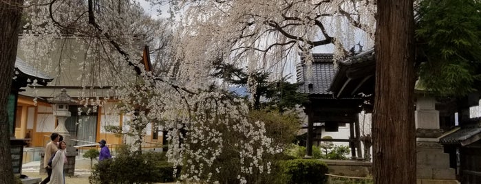 光林寺 is one of 桜.