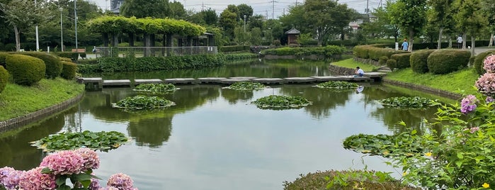 下沼公園 is one of 埼玉県_東松山市_1.