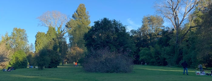 Jardín Botánico Universidad Austral is one of Chile 🇨🇱.