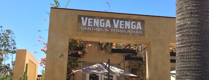 Venga Venga Cantina & Tequila Bar is one of Places to try.