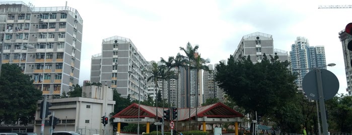 Mei Tung Estate is one of 公共屋邨.