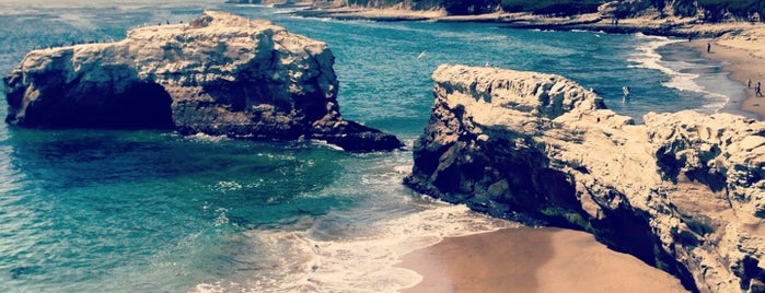 Natural Bridges State Beach is one of sc.