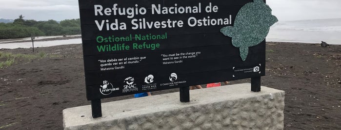 Refugio Nacional de Vida Silvestre Ostional is one of Costa Rica.