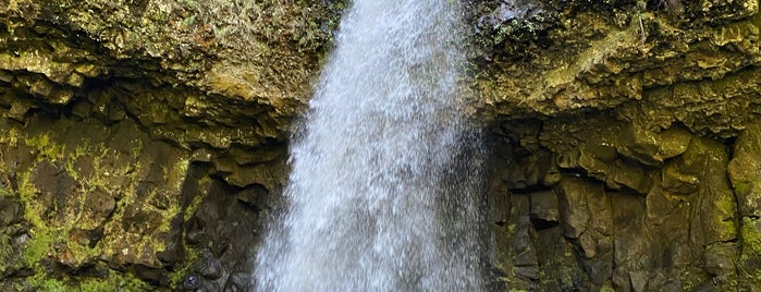 Latourell Falls is one of Portlaaand 😍🤗.
