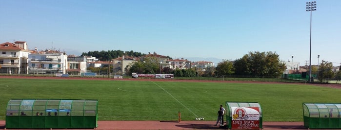 Δημοτικό Αθλητικό Κέντρο Κοζάνης is one of Lieux qui ont plu à Ioanna.