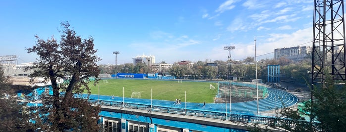 Стадион «Динамо» is one of Бассейны.