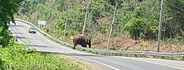 Srinakharin Dam is one of 2Go @Karnchanaburi.