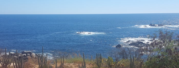 Las Brisas Huatulco is one of Mariana’s Liked Places.