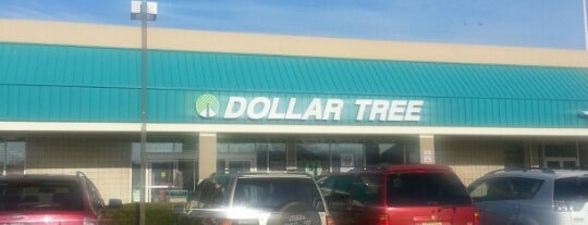 Dollar Tree is one of Common Haunts.
