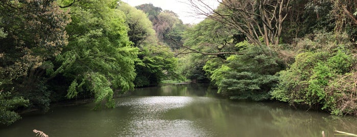 瀬上池 is one of lake-kanagawa.