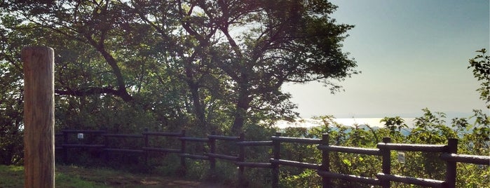 大丸山山頂 is one of 横浜周辺のハイキングコース.