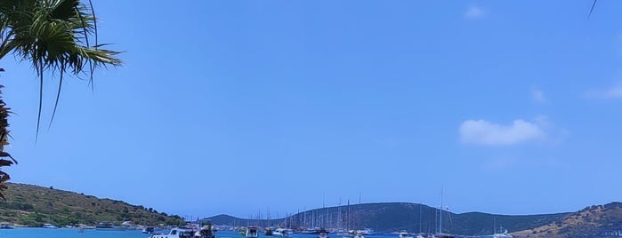 Gümbet Plajı is one of Bodrum.