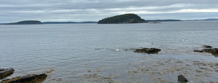 Shore Path is one of Bar Harbor.