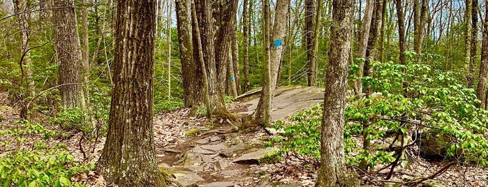 Mine Hill Preserve is one of Upstate.