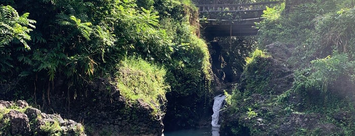 Chings Pond is one of Road to Hana.