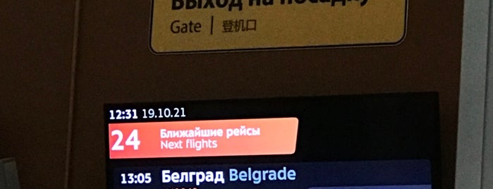 Выход 24 / Gate 24 (D) is one of SVO Airport Facilities.