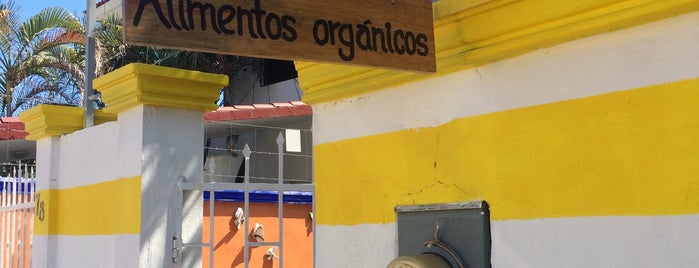 El Nance (Alimentos Orgánicos) is one of Ciudad del Carmen.