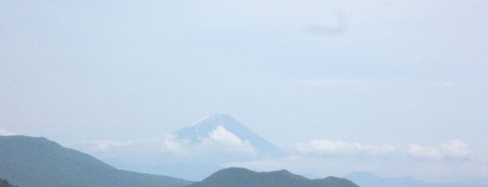 藤沢橋 is one of 渡った橋（東日本）.