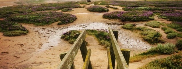Stiffkey is one of Eat and Enjoy Norwich and Norfolk.
