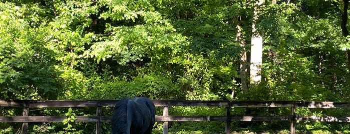 Rock Creek Horse Center is one of DC parks and green spaces.