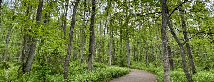 Huntley Meadows Park is one of parks/trails.