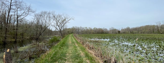 Mckee-Beshers Wildlife Management Sanctuary is one of Road trip.