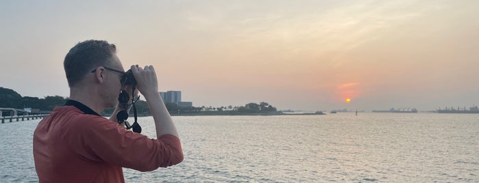 Marina Barrage is one of Singapore достопримечательности.