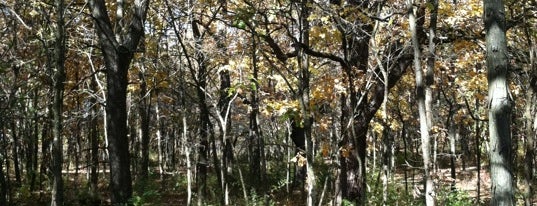 Plum Creek Nature Center/Goodenow Grove Nature Preserve is one of Hiking in Northeast Illinois.