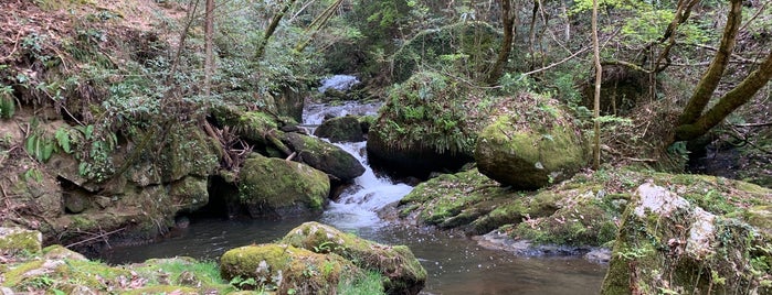 鶏鳴の滝 is one of 滝.