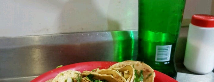 Tacos El Tigrin is one of XALAPA VER.