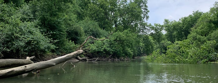 Bellbrook Canoe Rental is one of Dayton Area Favorites!.