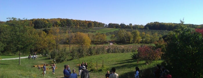 Wilson's Apple Orchard is one of Iowa City.