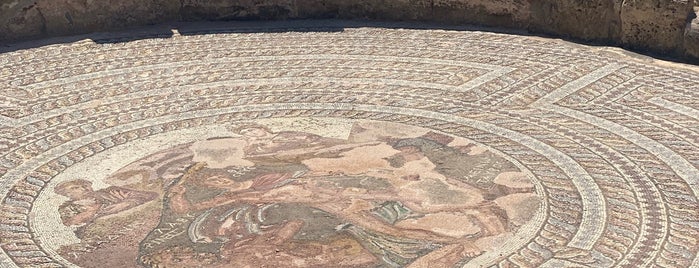 Paphos Mosaics is one of Lieux qui ont plu à Yiannis.