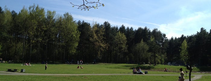 Степянский лес is one of Парки и скверы Минска (Parks and squares in Minsk).