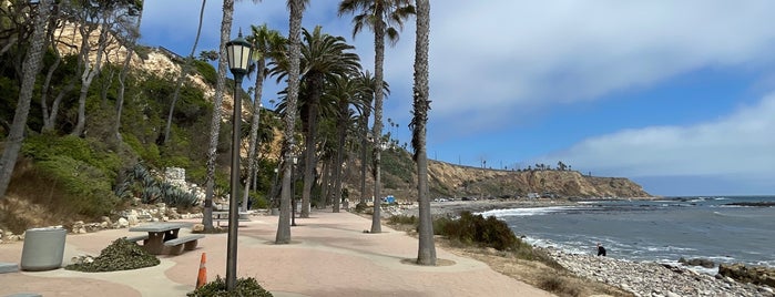 Royal Palms County Beach is one of North America.