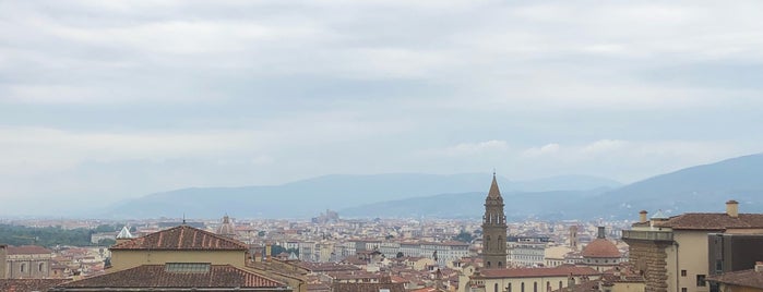 Boboli, Antico Vigneto is one of Florence spots.